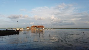 TLPS0110.JPG