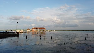 TLPS0116.JPG