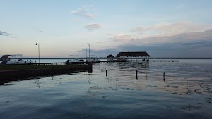 TLPS0117.JPG