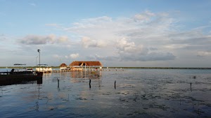 TLPS0118.JPG