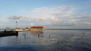 TLPS0119.JPG