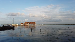 TLPS0122.JPG