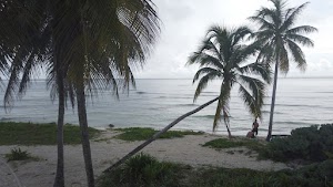 TLPS0122.JPG
