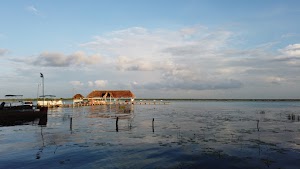 TLPS0138.JPG