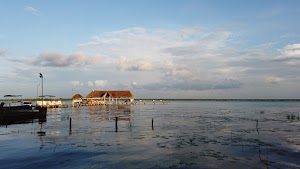 TLPS0139.JPG