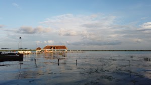 TLPS0140.JPG
