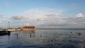 TLPS0154.JPG