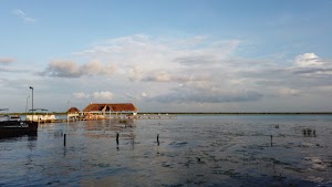 TLPS0158.JPG