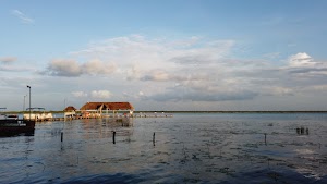 TLPS0161.JPG