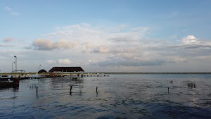TLPS0168.JPG