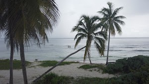 TLPS0169.JPG
