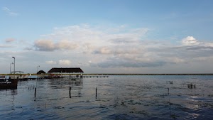 TLPS0172.JPG
