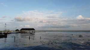 TLPS0173.JPG