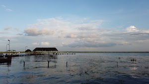 TLPS0174.JPG