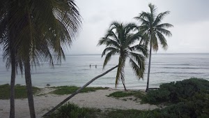 TLPS0176.JPG