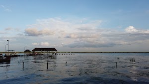 TLPS0177.JPG