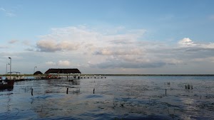 TLPS0180.JPG