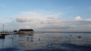 TLPS0184.JPG