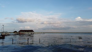 TLPS0185.JPG
