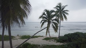 TLPS0186.JPG