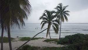 TLPS0190.JPG
