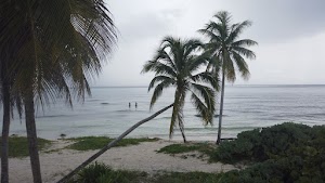 TLPS0193.JPG