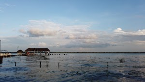 TLPS0199.JPG