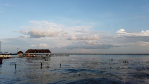 TLPS0200.JPG