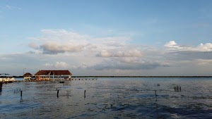 TLPS0202.JPG