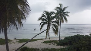 TLPS0205.JPG