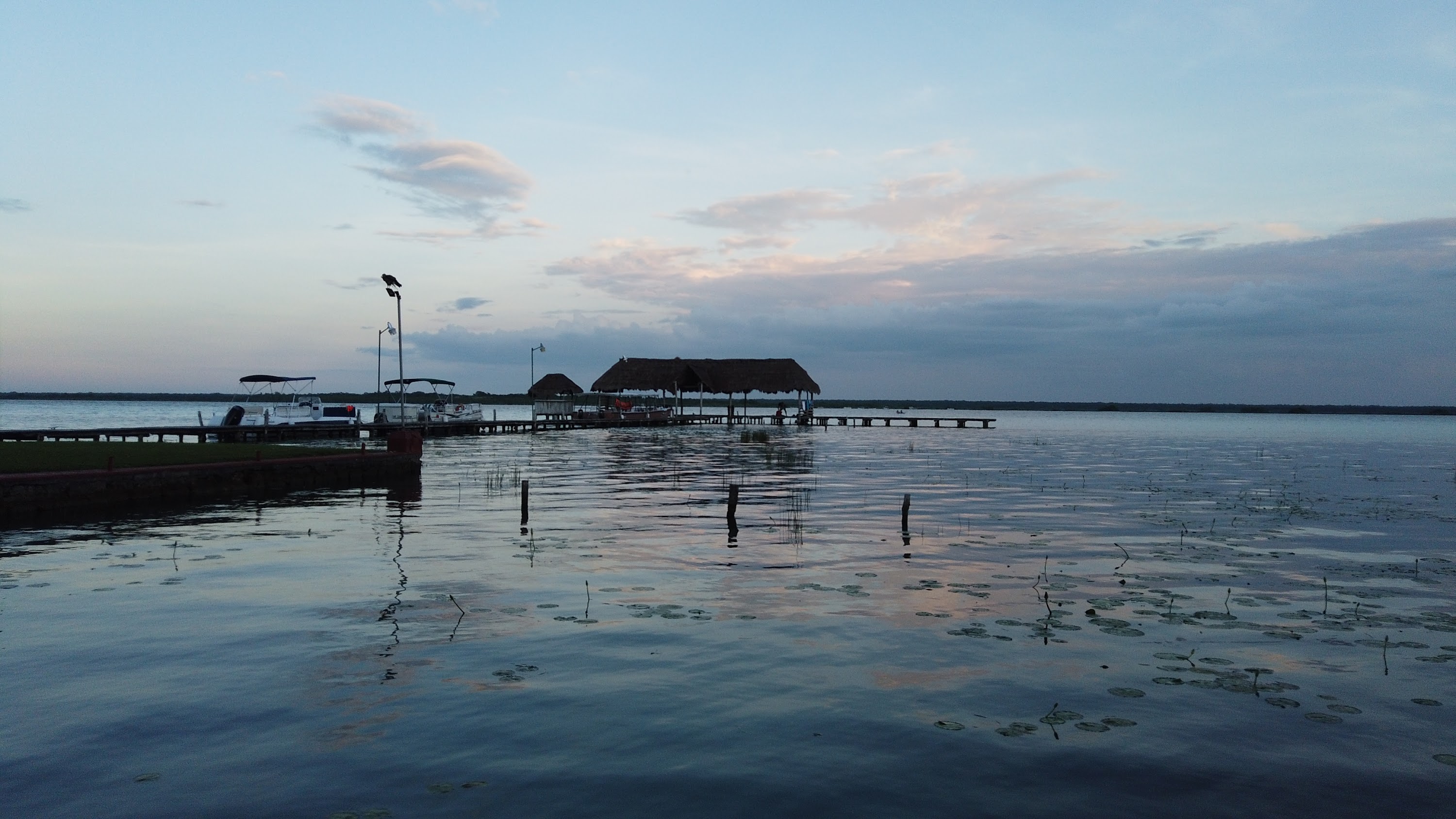 TLPS0206.JPG