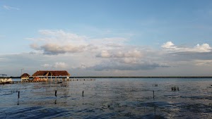TLPS0207.JPG