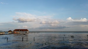 TLPS0209.JPG