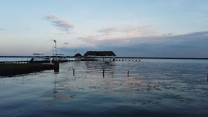 TLPS0209.JPG