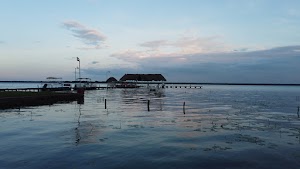 TLPS0211.JPG