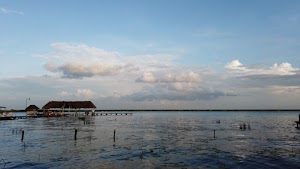 TLPS0212.JPG