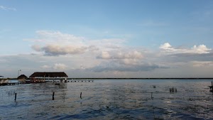 TLPS0213.JPG