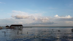 TLPS0215.JPG