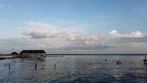 TLPS0216.JPG