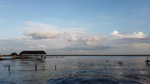 TLPS0218.JPG