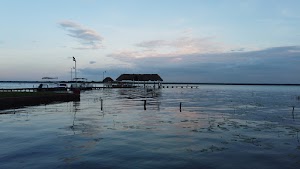 TLPS0218.JPG