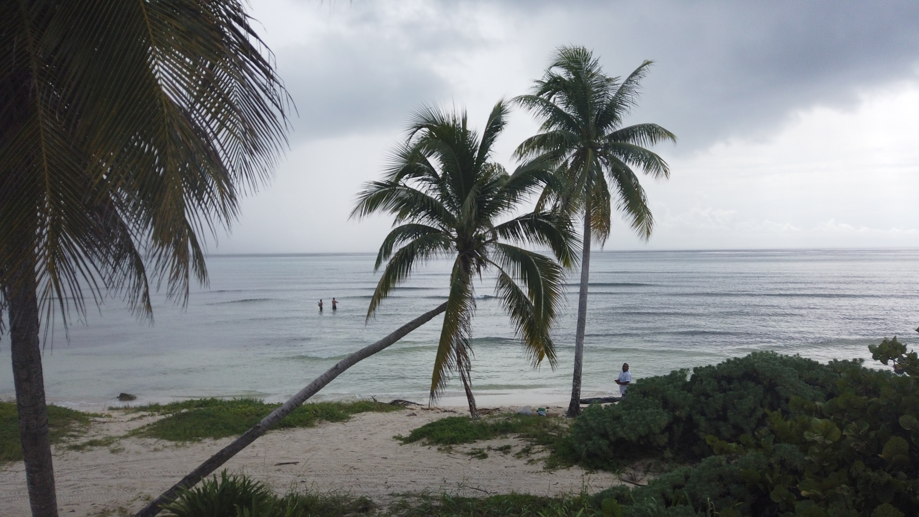 TLPS0219.JPG