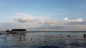 TLPS0219.JPG