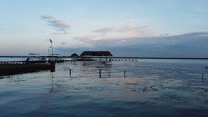 TLPS0219.JPG