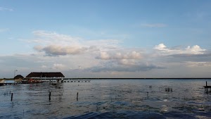 TLPS0220.JPG
