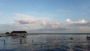 TLPS0222.JPG