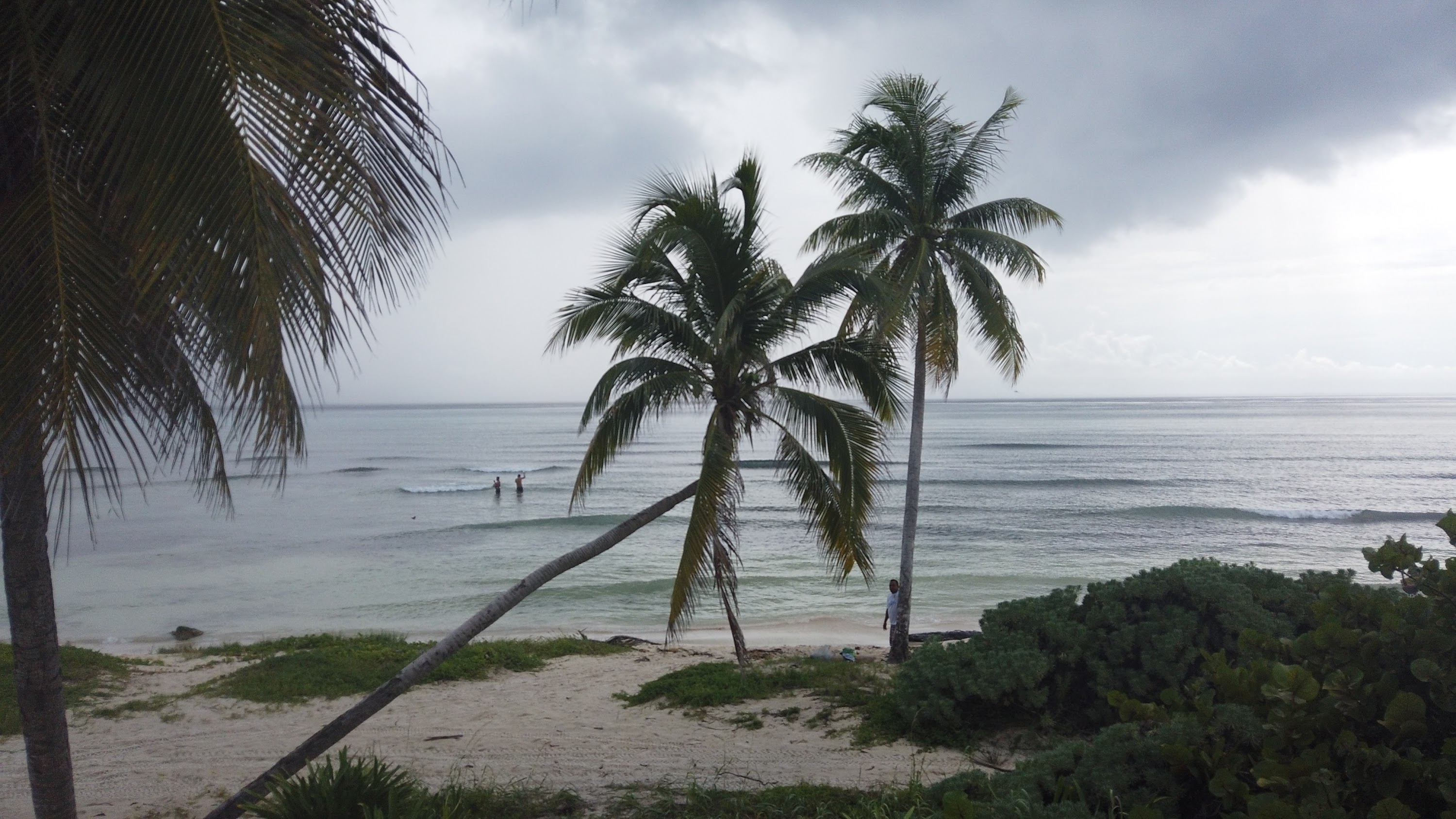 TLPS0223.JPG