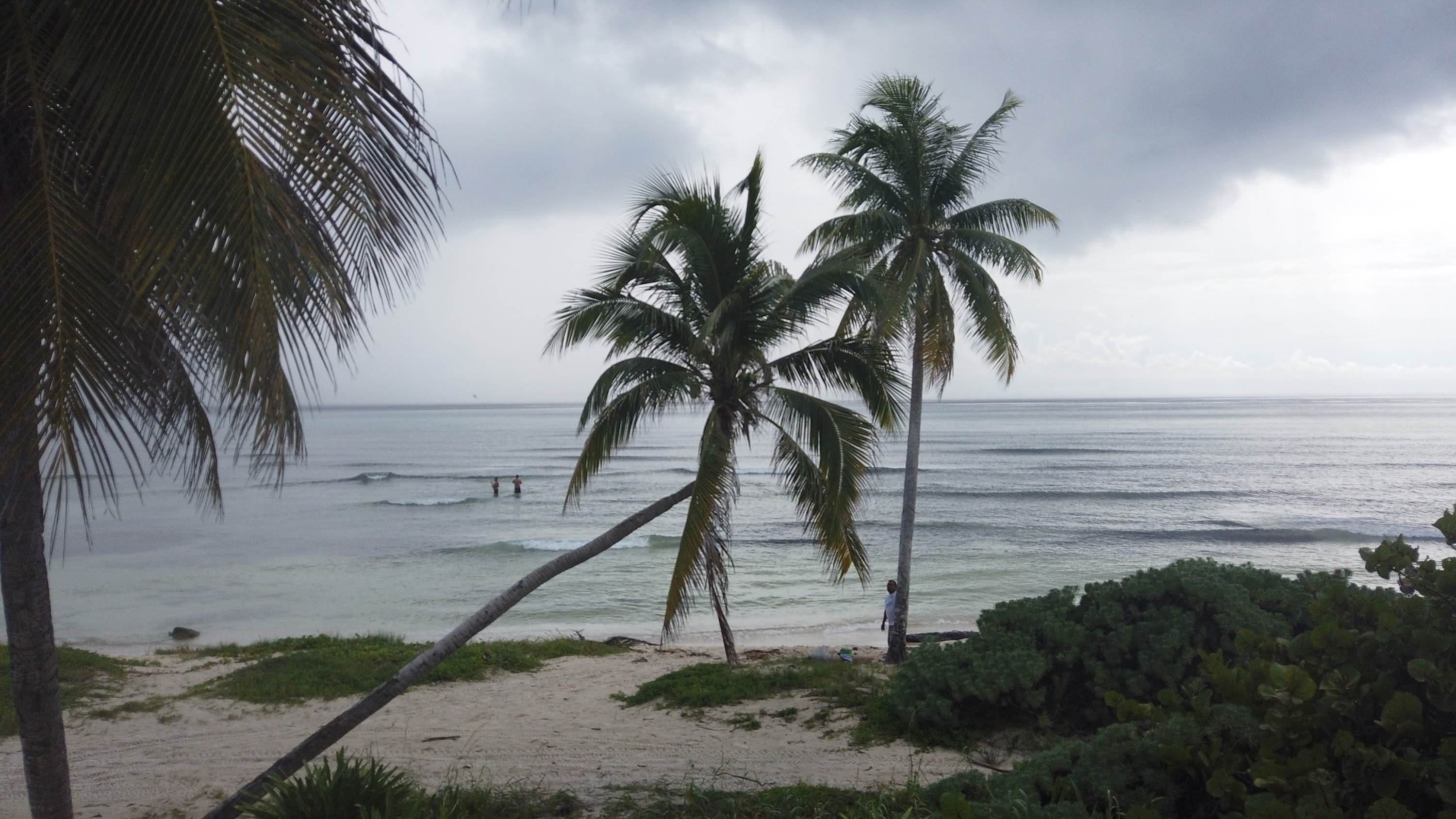 TLPS0224.JPG