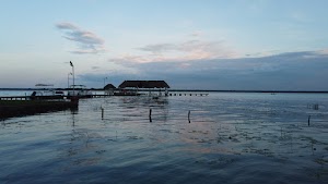 TLPS0233.JPG