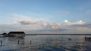 TLPS0236.JPG